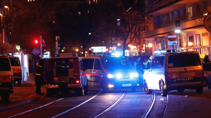 Several Injured In Vienna Shooting, Several “believed Dead” – Public ...